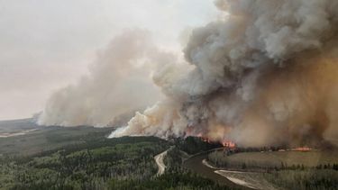 Las autoridades nórdicas aseguraron que el fenómeno no representa un problema medioambiental para su país.&nbsp;