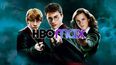 La serie de televisión de ‘Harry Potter’ ha generado gran expectación por parte de los fans.