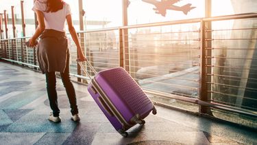 Horóscopo Chino: cuáles son los signos que viajarán este año.&nbsp;