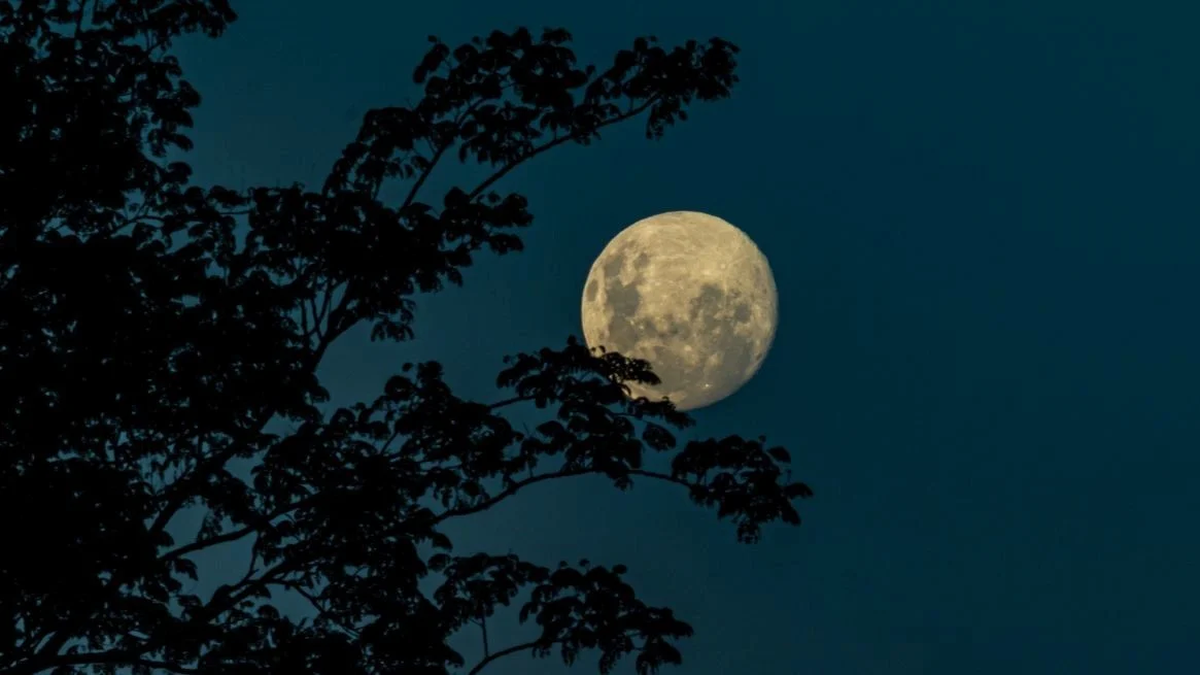 Cuándo es luna llena en mayo de 2024