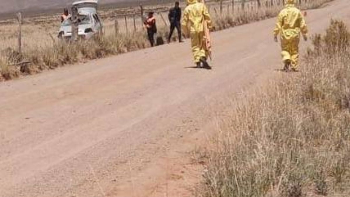Una mujer murió tras un grave vuelco en la Puna jujeña Una mujer murió tras un grave vuelco en la Puna jujeña
