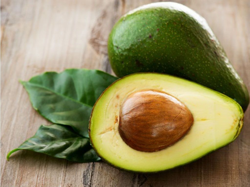Palta