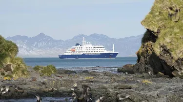 hantavirus en el crucero: el infectologo hugo pizzi explico como pudo originarse el brote
