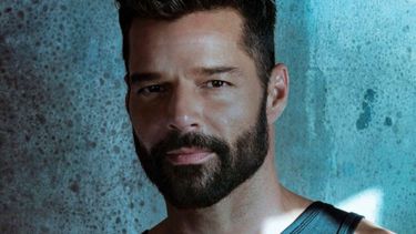 Ricky Martin decidió demandar a su sobrino por 20 millones de dólares.