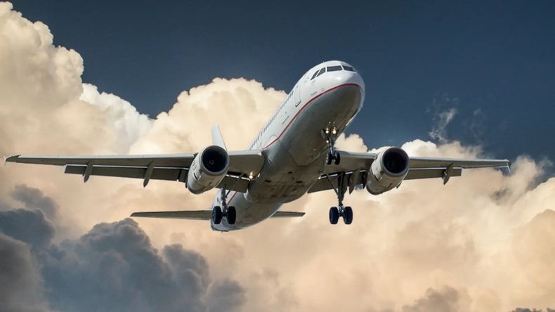 Al principio, se puede ver como ingresa los oficiales aeroportuarios antes de que despegue la aeronave para detener al chico.
