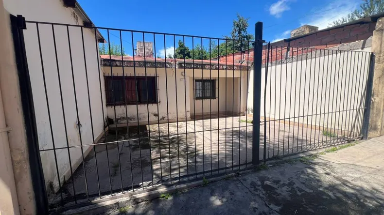 Lugar donde están los perros.