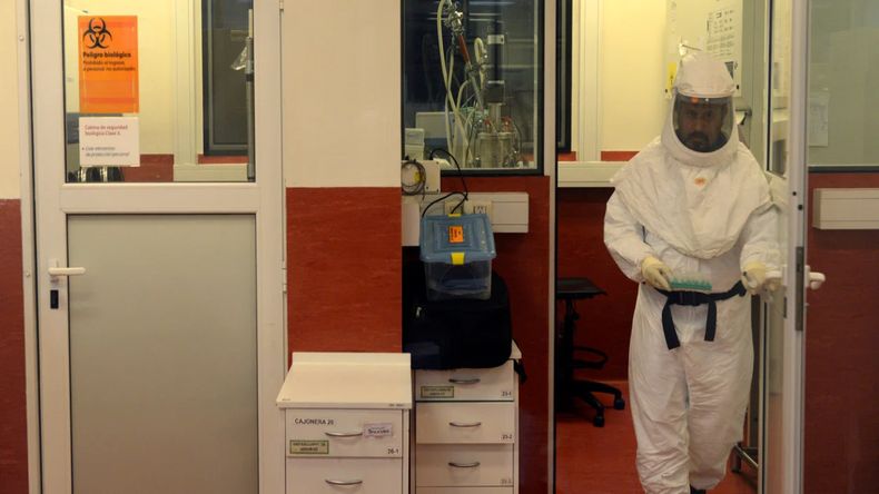 Una peligrosa bacteria en cuatro meses triplicó los contagios y sube la letalidad.
