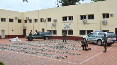 Formosa: encontraron 352 cueros de yacaré en encomiendas