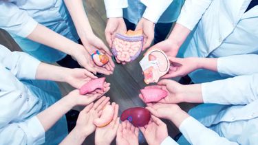 Foto alusiva de donación de órganos