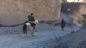 gendarmes trasladaron las urnas por la puna: demoraron 20 horas a caballo