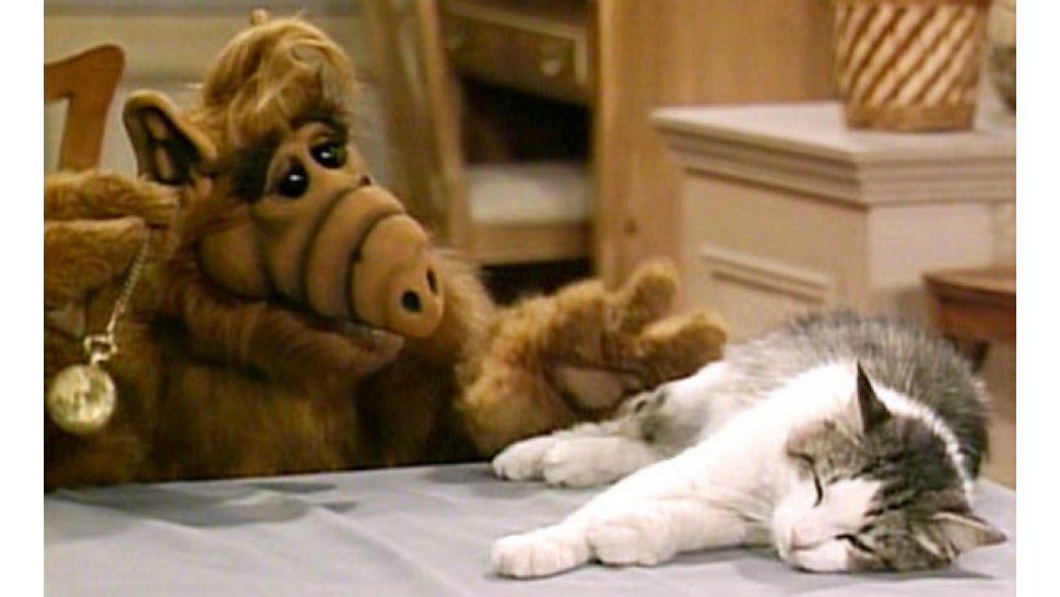 Alf
