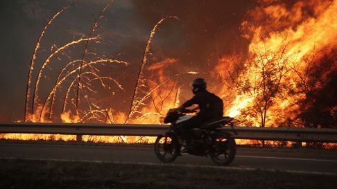Todo Jujuy | incendio jujuy  (4)