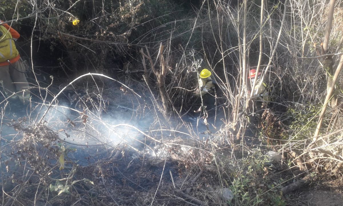 Incendios forestales atemorizaron a vecinos de SanSalvador de Jujuy