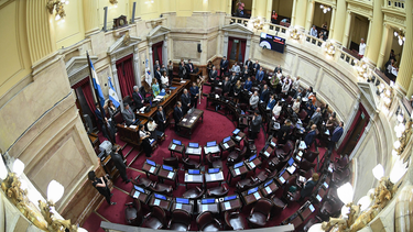 Senado de la Nación.&nbsp;
