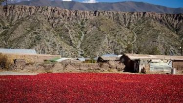 En Payogasta se pueden llevar a cabo diferentes actividades. En Payogasta se pueden llevar a cabo diferentes actividades.