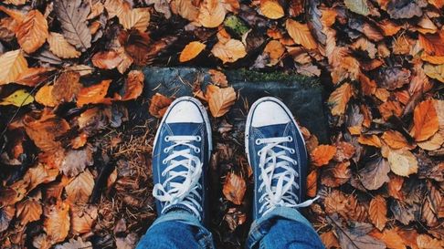 Todo Jujuy | otoño.jpg