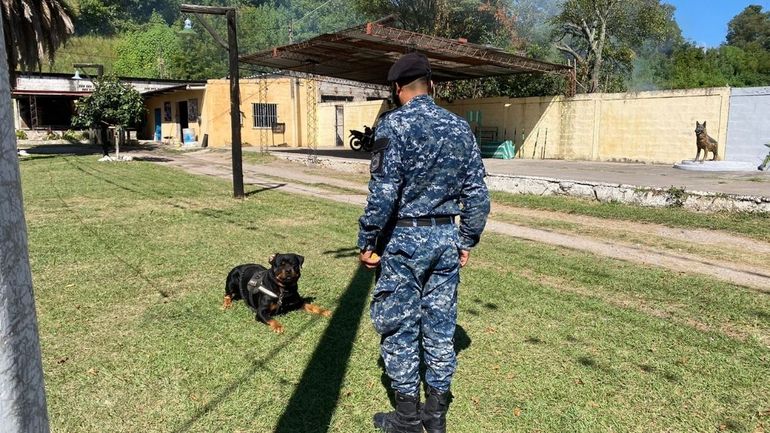 Aniversario de la División Perros