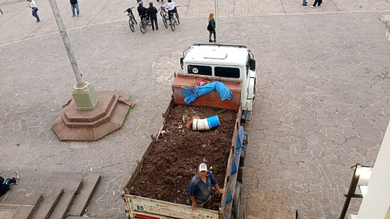 Trabajos en la Catedral