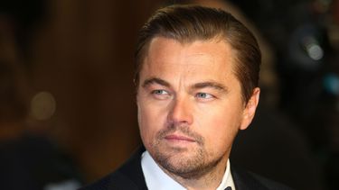 Netflix es consciente de que DiCaprio atrae a grandes multitudes.