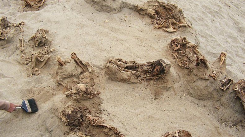Perú: encontraron rastros del mayor sacrificio humano de chicos de la historia