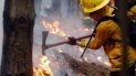 Bomberos voluntarios&nbsp;