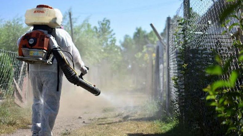 Hay más de 4700 casos de dengue en Jujuy