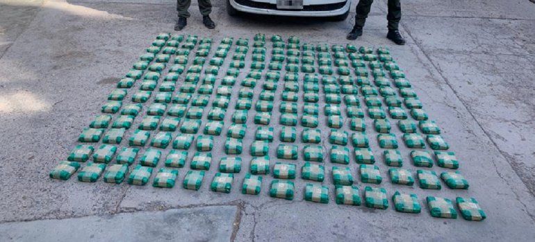 Decomisan casi 50 kilos de hojas de coca en Jujuy.