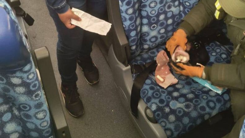 Operativo de Gendarmería por transporte de cocaína 