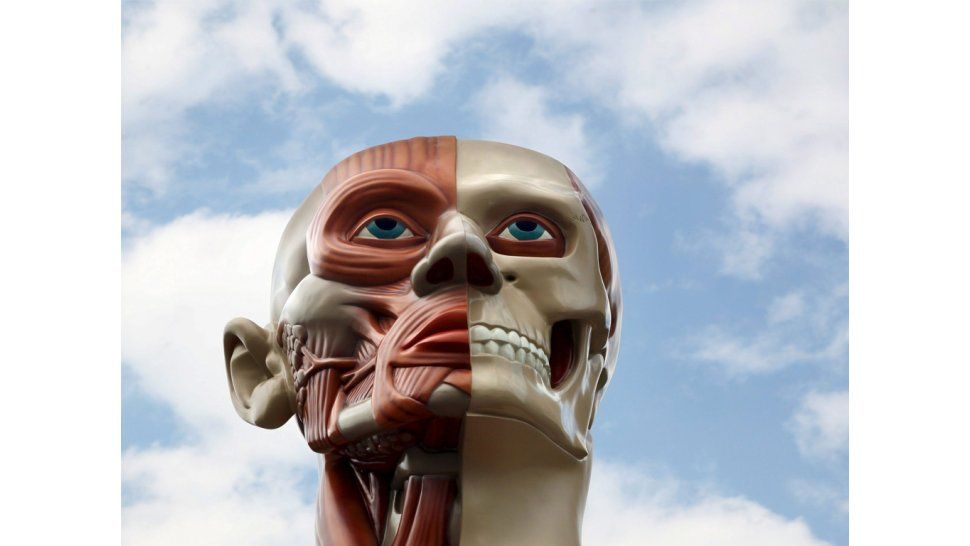 Solución contra la parálisis