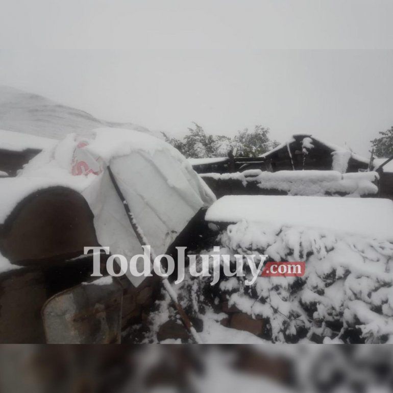Fuerte nevada en Tumbaya