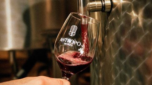 Todo Jujuy | Antropo Wines