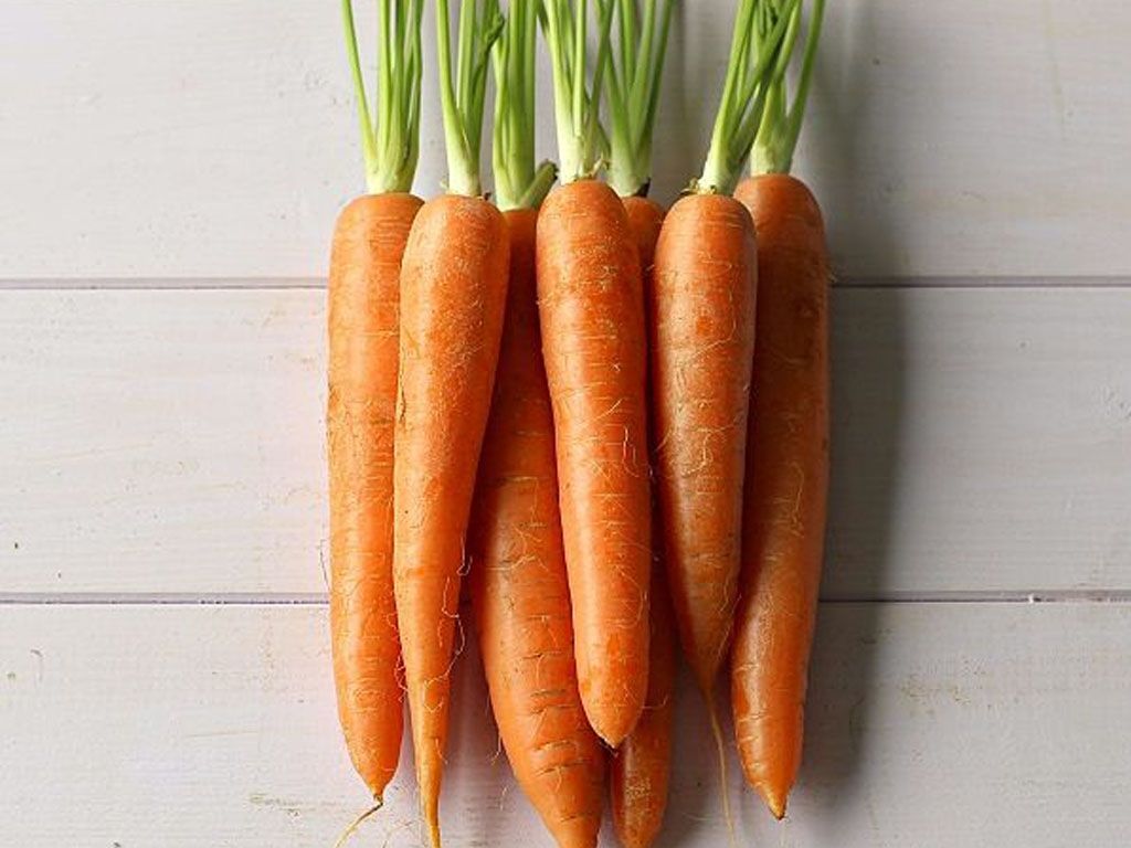Zanahorias