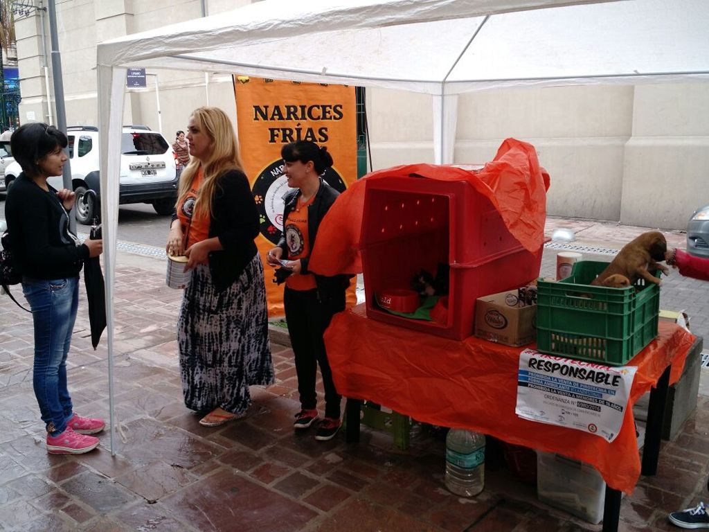 Fundación Narices Frías