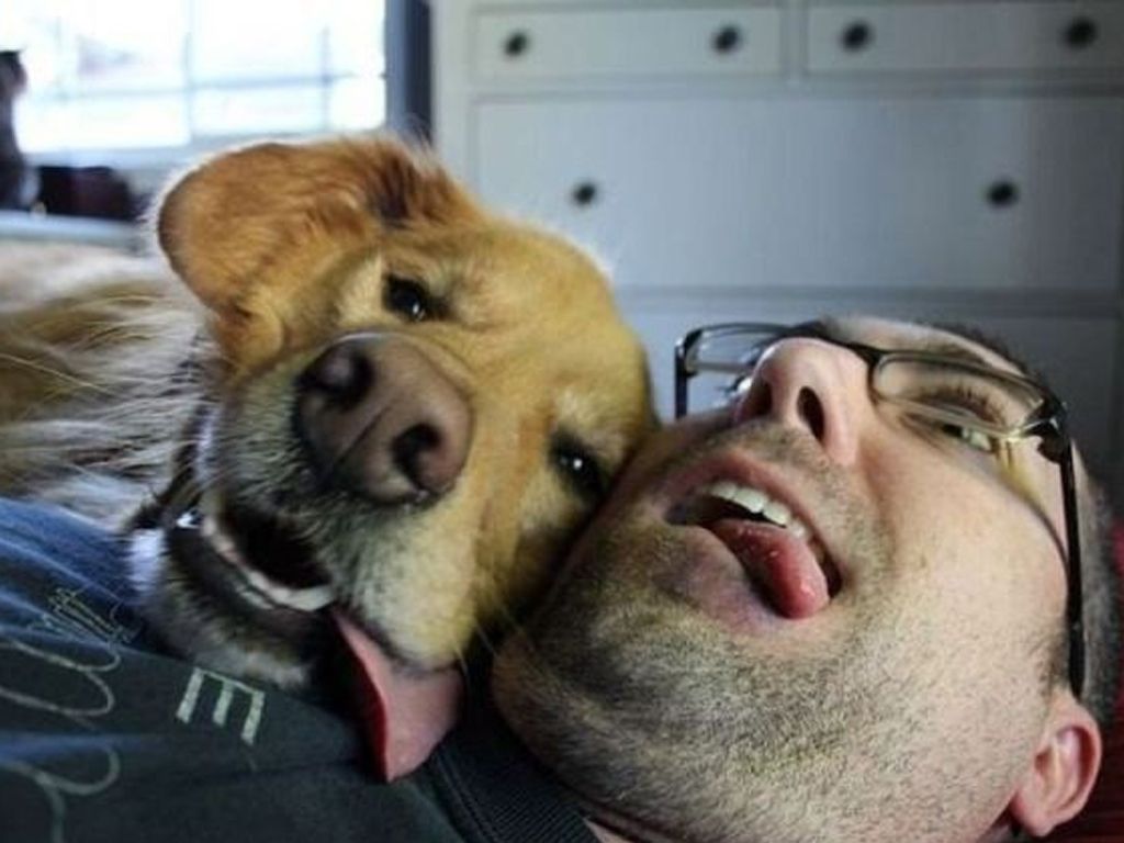 Perro y su dueño