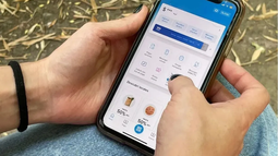 Cómo comprar dólar MEP con Mercado Pago