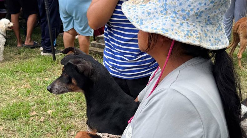 Carnaval de las Mascotas más de 200 animales atendidos en la jornada municipal