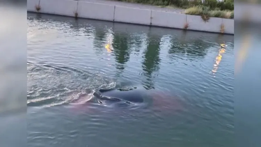 Cayó a un canal con 2,4 de alcohol en sangre.