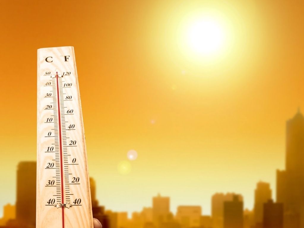 Calor