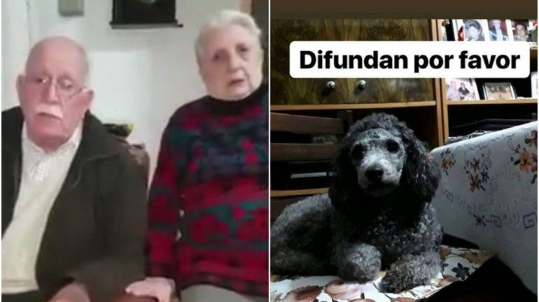 Jubilados les robaron el perro