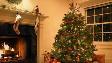 El árbol de Navidad es uno de los símbolos más importantes que existe.&nbsp;