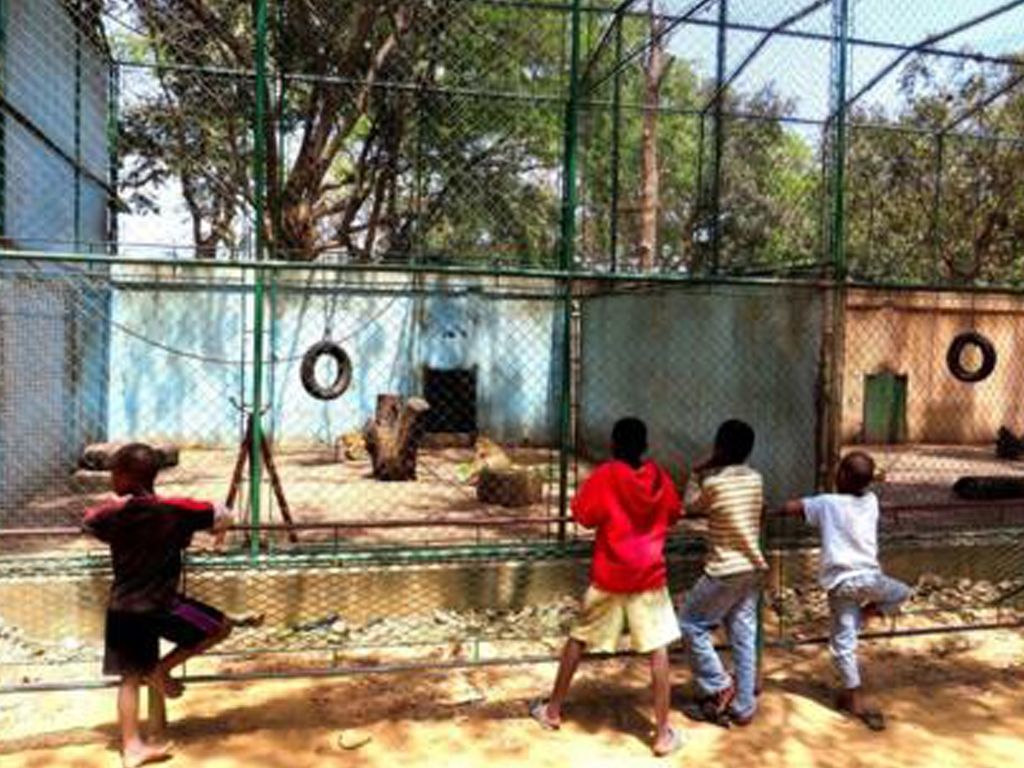 Zoo de Mozambique
