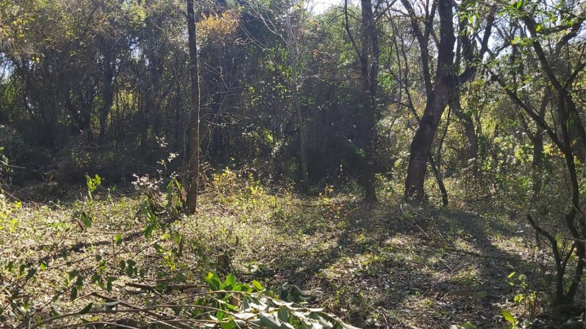 Todo Jujuy | Asentamiento campo verde (3).png
