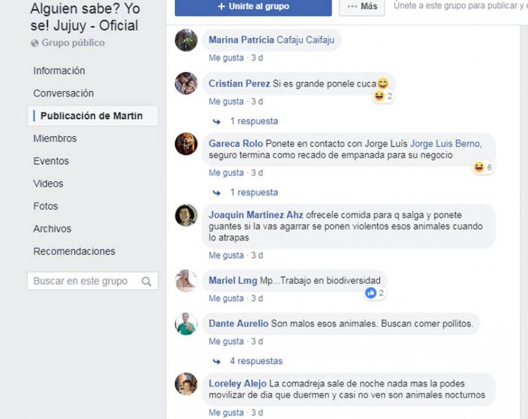Comentarios