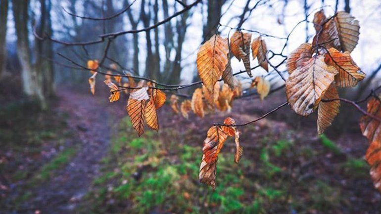 Otoño