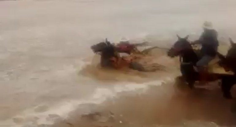 rescate del gaucho.jpg