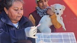 Campaña de Vacunación Antirrábica en San Salvador de Jujuy