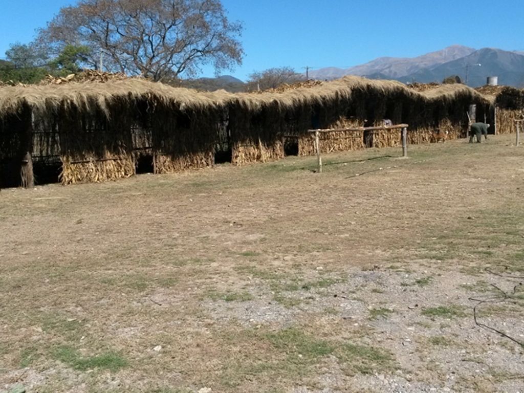 San Antonio