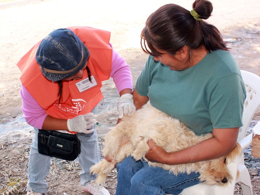 Campaña en Jujuy