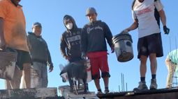 Un perrito que ayuda a un grupo de albañiles en una obra en construcción se hizo viral en TikTok.