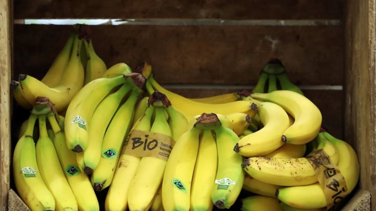La&nbsp; banana tiene minerales como el magnesio, potasio, ácido fólico y sustancias astringentes.